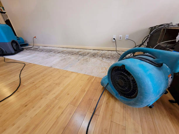 Professional Emergency Water Damage technician working in Little Mountain, SC